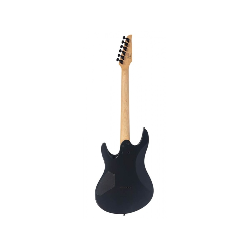 sire-larry-carlton-y5-bs