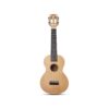 ukulele-concert-mahalo-island-sand-dune